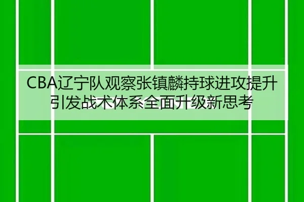 CBA辽宁队观察张镇麟持球进攻提升引发战术体系全面升级新思考